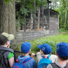 Výlet do ZOO V Ostravě