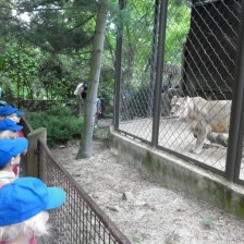 Výlet do ZOO V Ostravě