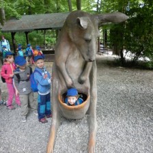 Výlet do ZOO V Ostravě
