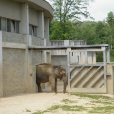 Výlet do ZOO V Ostravě