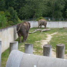 Výlet do ZOO V Ostravě