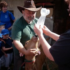 Výlet na farmu, návštěva indiánské hospody ve Vojtěchově
