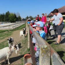 Výlet na farmu v Horních Loděnicích