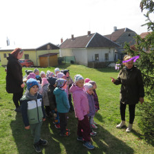 Zajíčkova cesta.