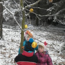 Zdobíme stromeček pro zvířátka