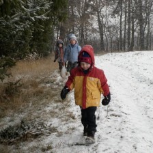 Zdobíme stromeček pro zvířátka v lese