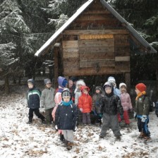 Zdobíme stromeček pro zvířátka v lese